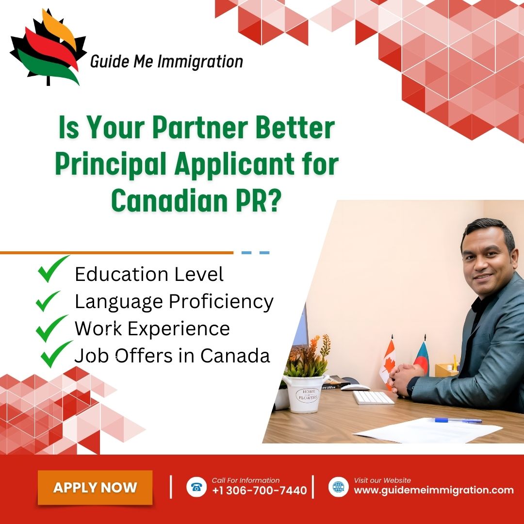 Key Factors to Consider When Choosing the Principal Applicant